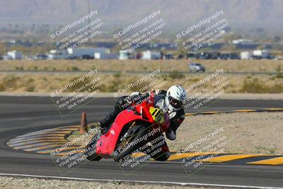 media/Feb-04-2023-SoCal Trackdays (Sat) [[8a776bf2c3]]/Turn 11 (945am)/